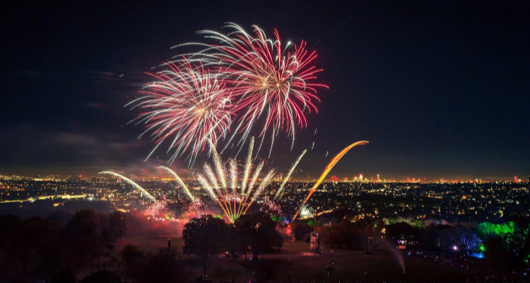Anxious Dogs On Bonfire Night & New Year