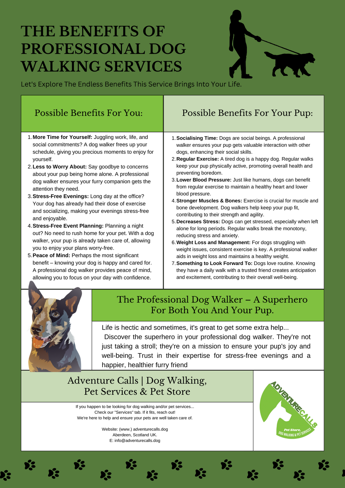 The Benefits of Professional Dog Walking Services