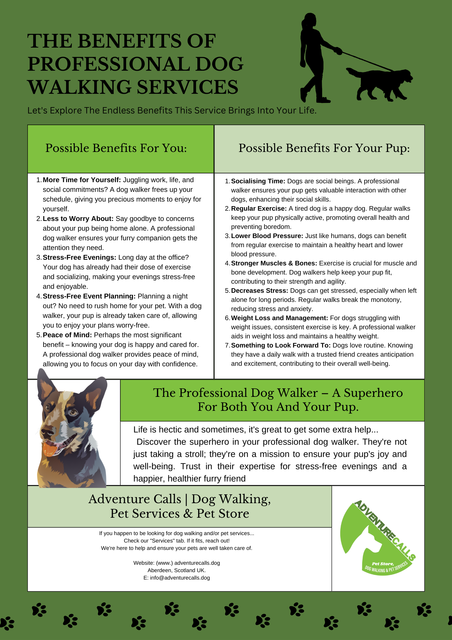 The Benefits of Professional Dog Walking Services
