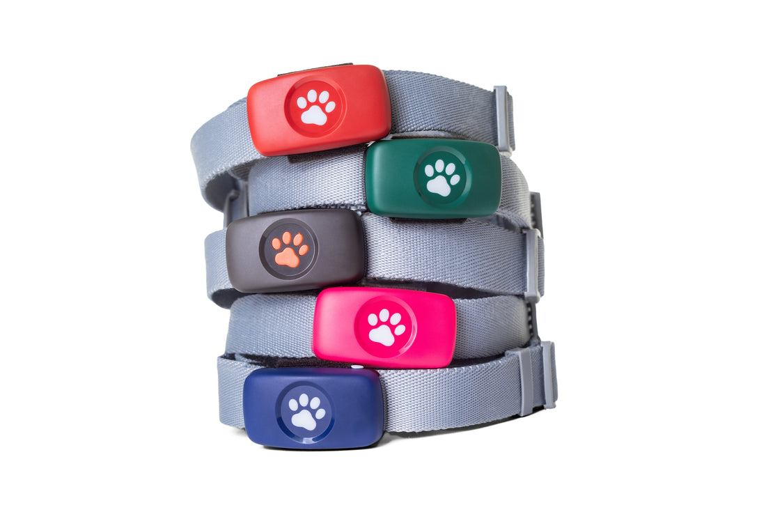 PitPat Dog GPS Trackers