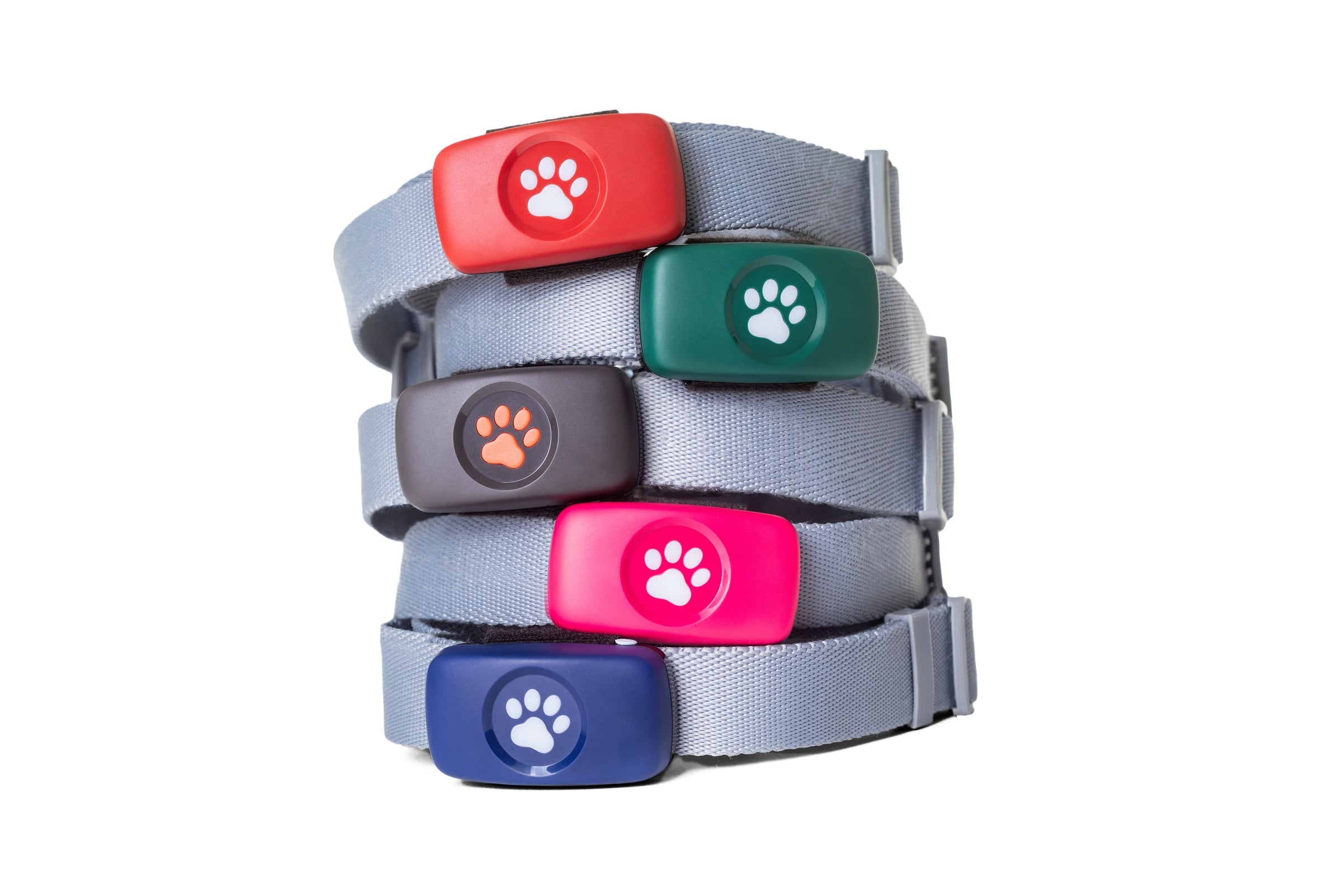 PitPat Dog GPS Trackers