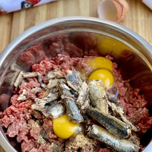 Benefits of Raw Feeding for Dogs