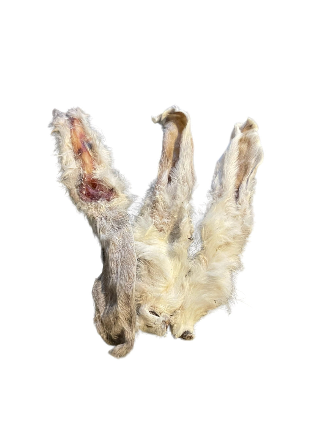 The Benefits of Rabbit Ears