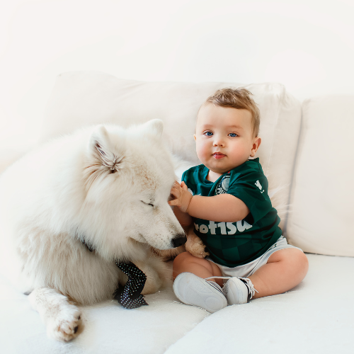The Connection Between Pets and Childhood Development