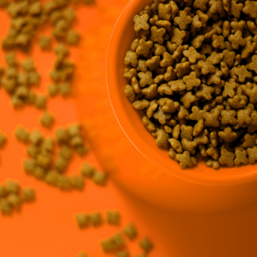Pet Food