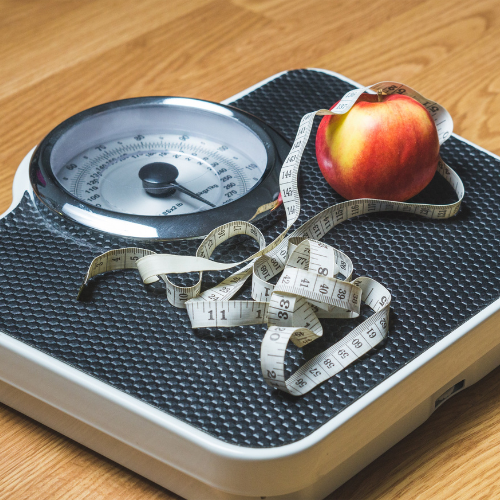 Healthy Pet Weight