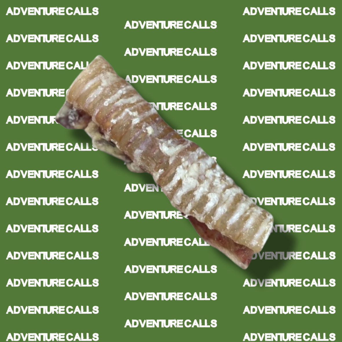 Small Beef Trachea 12cm (5pcs, 10pcs & 20pcs)
