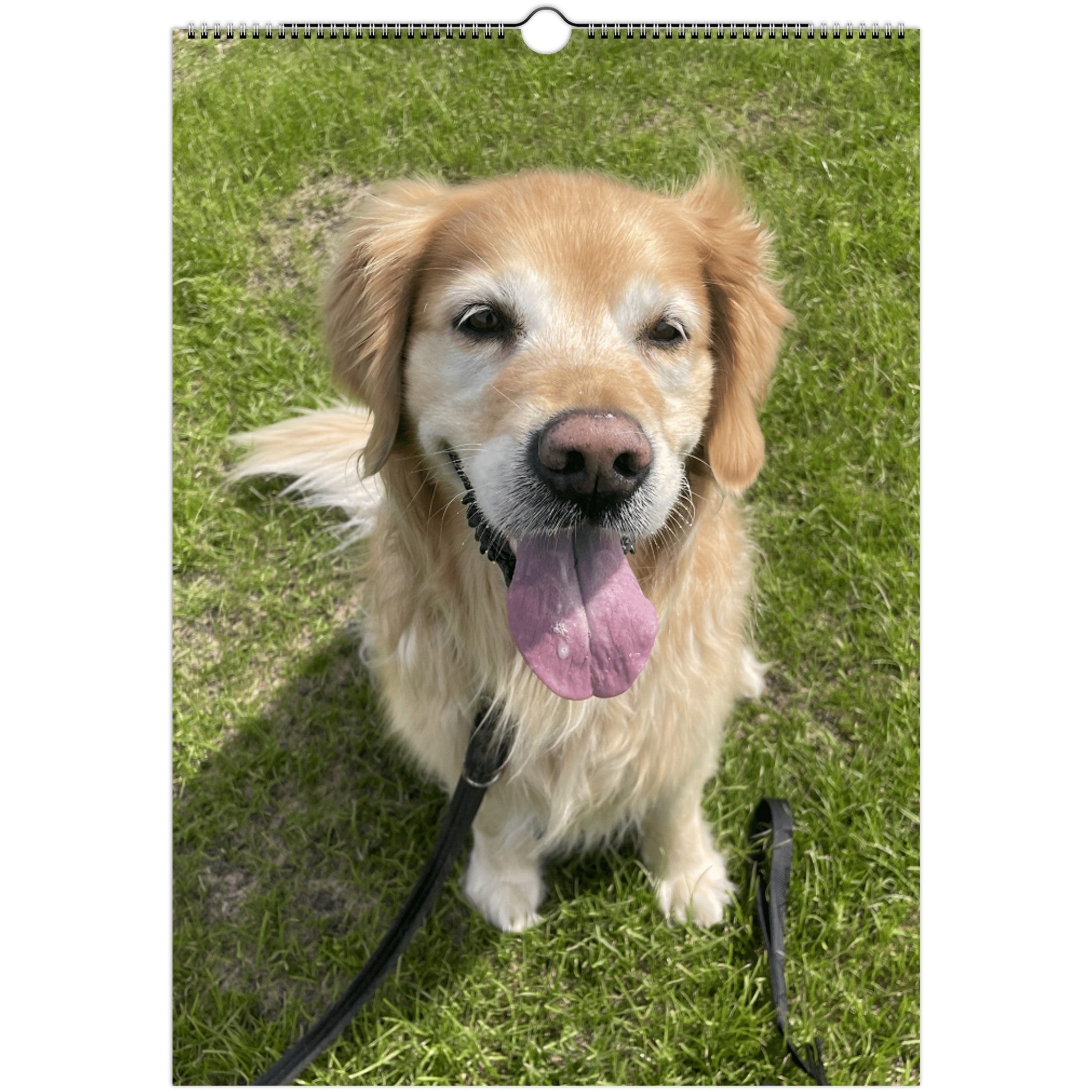 Wall calendars