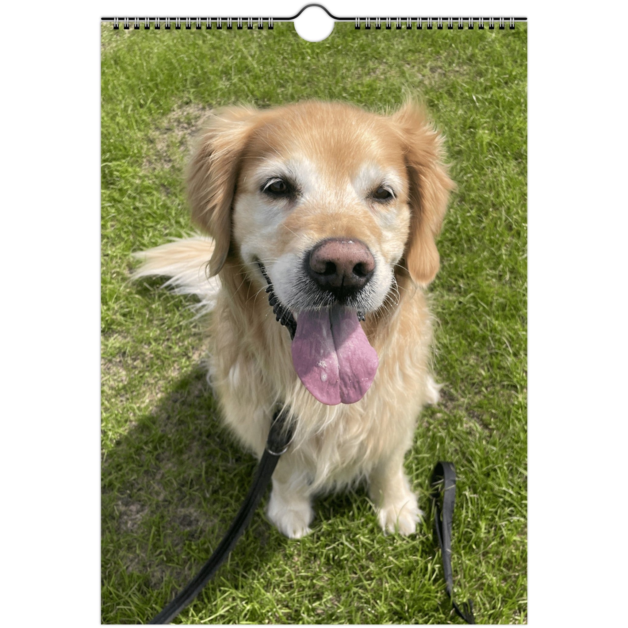 Wall calendars