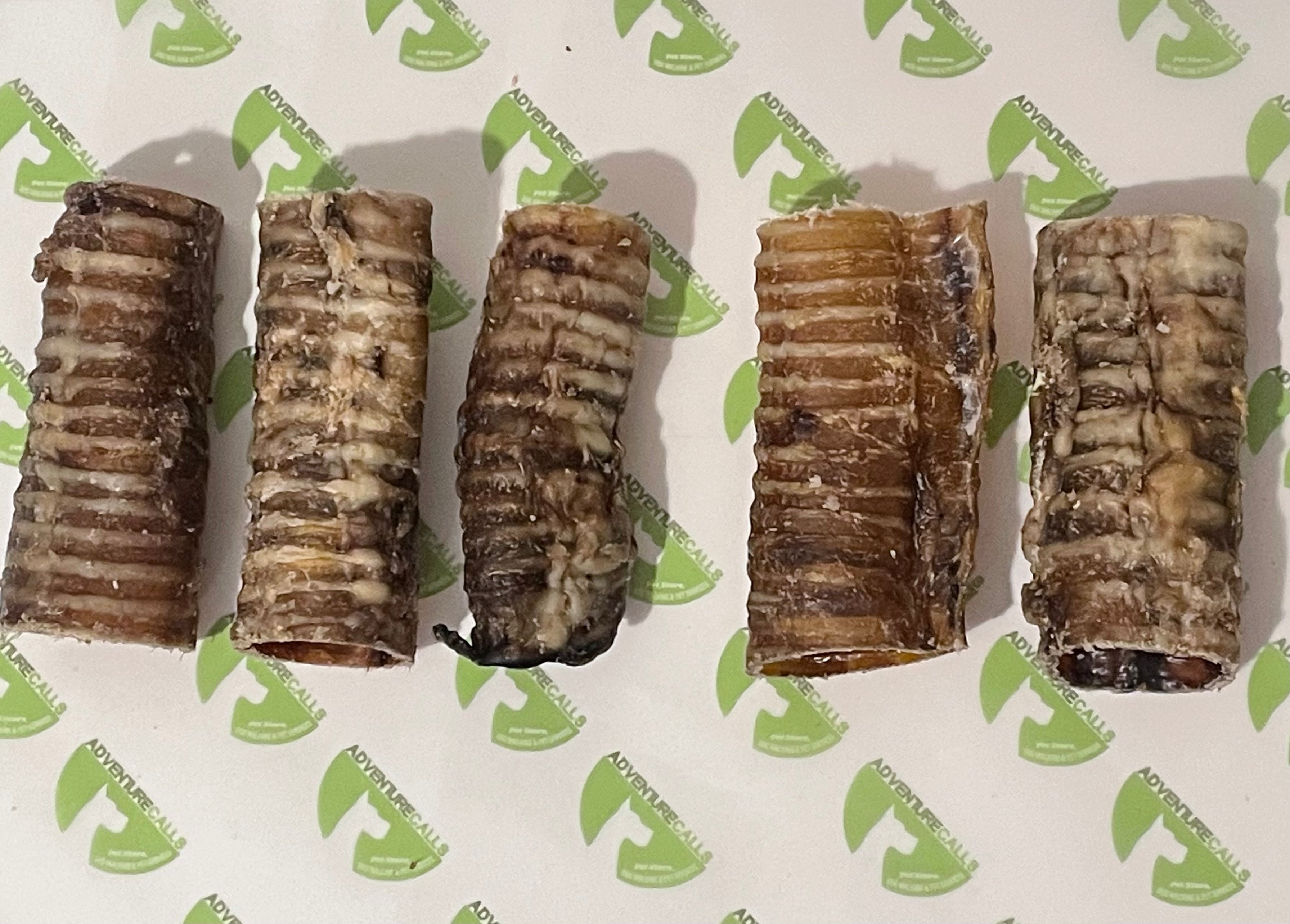 Small Beef Trachea 12cm (5pcs, 10pcs & 20pcs)