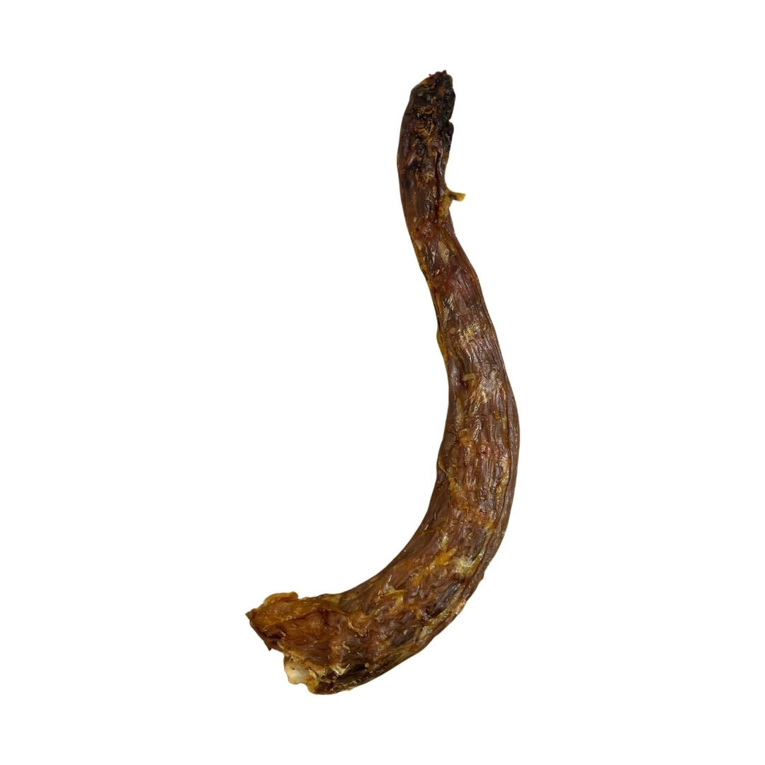 Turkey Neck (1pc)